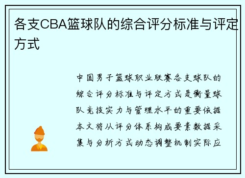 各支CBA篮球队的综合评分标准与评定方式